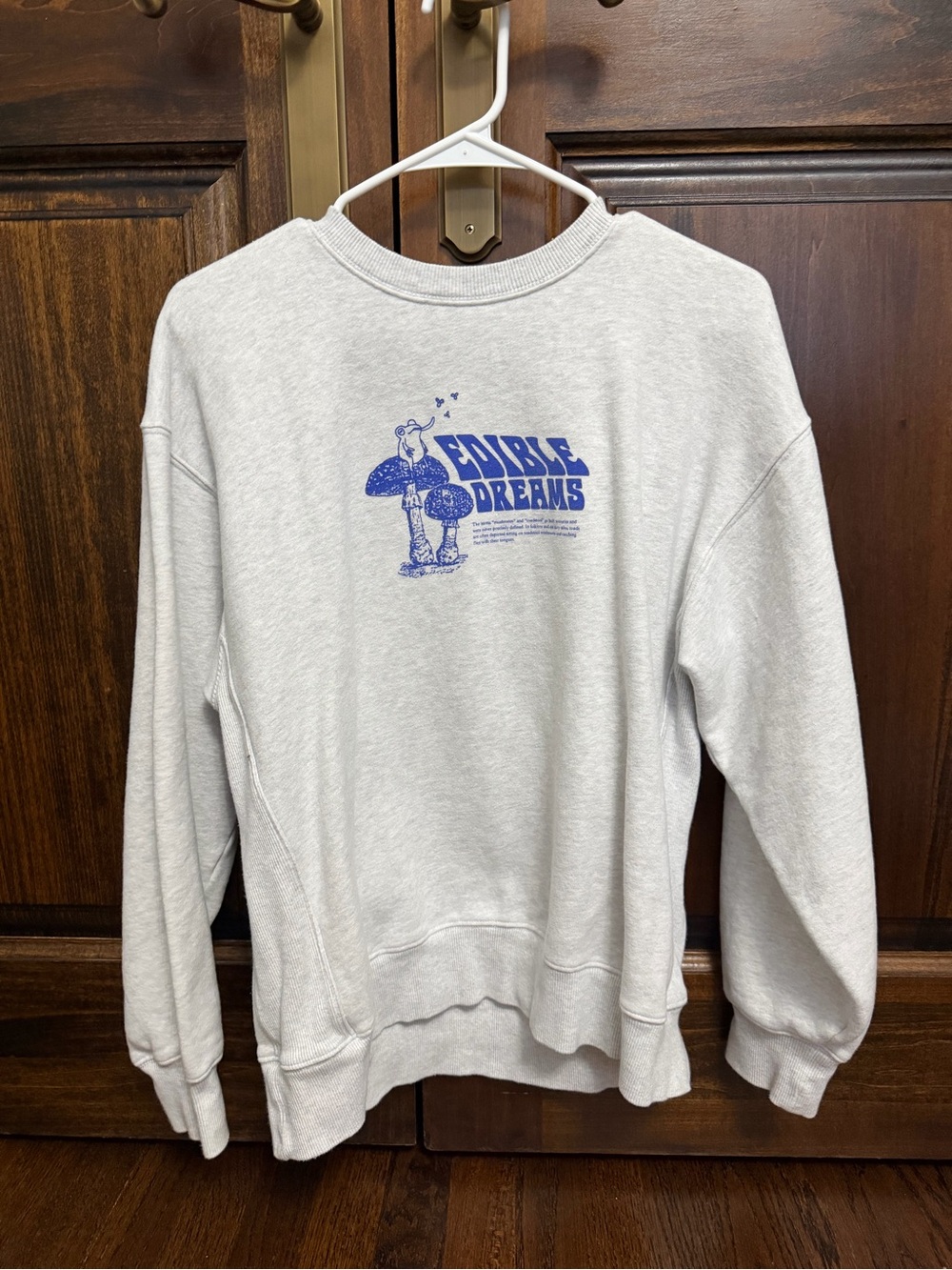 Aritzia TNA Edible Dreams Graphic Crewneck
